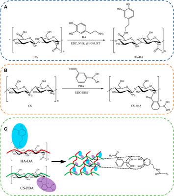 Fabrication and characteristics of multifunctional hydrogel dressings using dopamine modified hyaluronic acid and phenylboronic acid modified chitosan